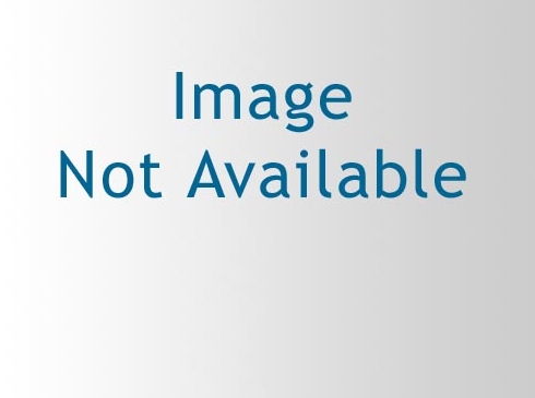 SafeW 消息备份和恢复完整流程：防止数据丢失