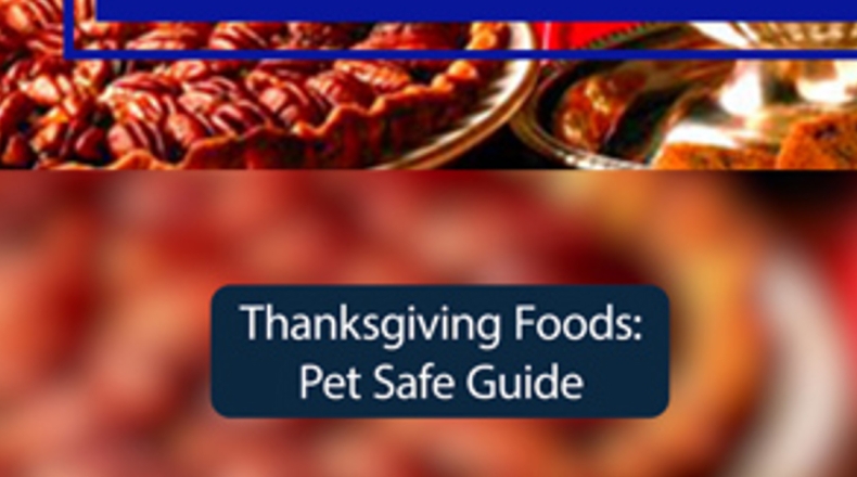 SafeW 频繁断线或连接不稳定?优化网络设置提升稳定性