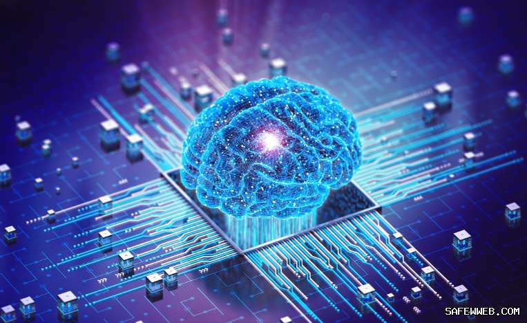 如何解决 SafeW 占用手机存储空间过大的问题？